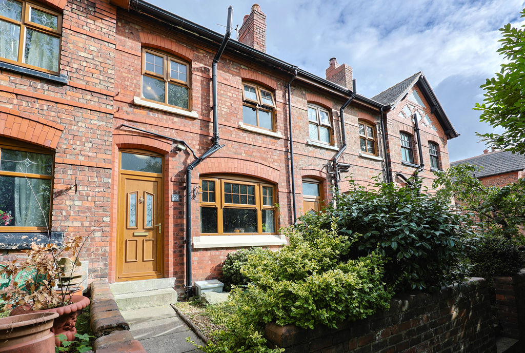 Main Image